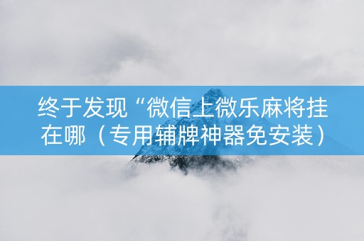 终于发现“微信上微乐麻将挂在哪（专用辅牌神器免安装）