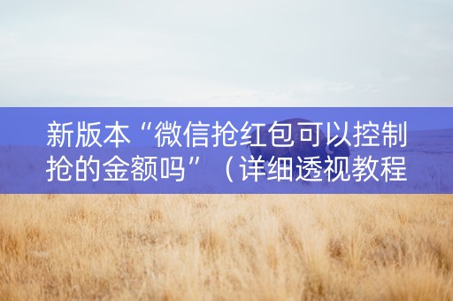 新版本“微信抢红包可以控制抢的金额吗”（详细透视教程）-哔哩哔哩