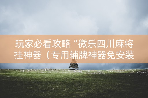 玩家必看攻略“微乐四川麻将挂神器（专用辅牌神器免安装）