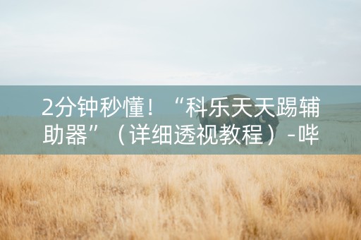 2分钟秒懂！“科乐天天踢辅助器”（详细透视教程）-哔哩哔哩