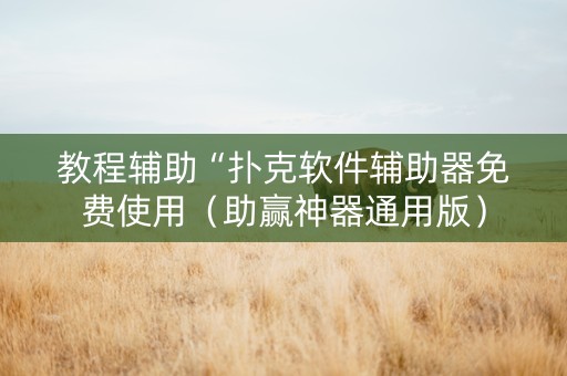 教程辅助“扑克软件辅助器免费使用（助赢神器通用版）