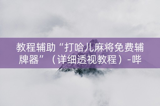 教程辅助“打哈儿麻将免费辅牌器”（详细透视教程）-哔哩哔哩