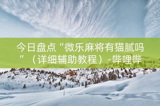 今日盘点“微乐麻将有猫腻吗”（详细辅助教程）-哔哩哔哩