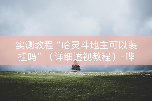 实测教程“哈灵斗地主可以装挂吗”（详细透视教程）-哔哩哔哩