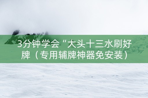 3分钟学会“大头十三水刷好牌（专用辅牌神器免安装）