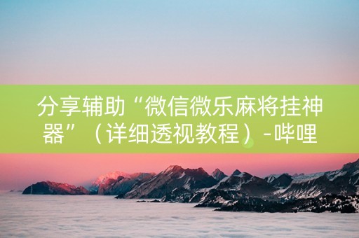 分享辅助“微信微乐麻将挂神器”（详细透视教程）-哔哩哔哩