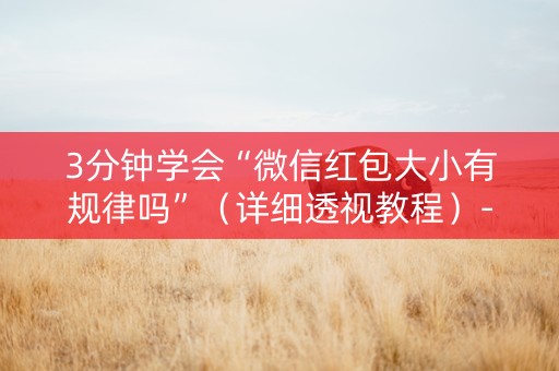 3分钟学会“微信红包大小有规律吗”（详细透视教程）-哔哩哔哩