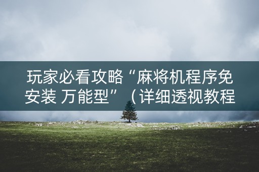 玩家必看攻略“麻将机程序免安装 万能型”（详细透视教程）-哔哩哔哩