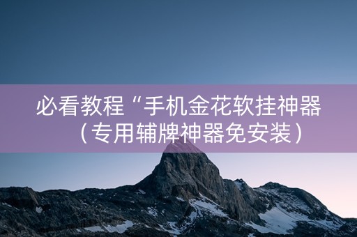 必看教程“手机金花软挂神器（专用辅牌神器免安装）