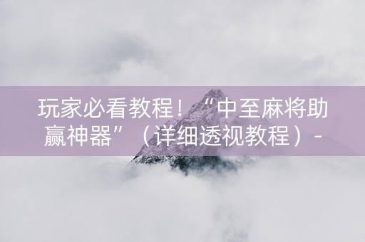 玩家必看教程！“中至麻将助赢神器”（详细透视教程）-哔哩哔哩