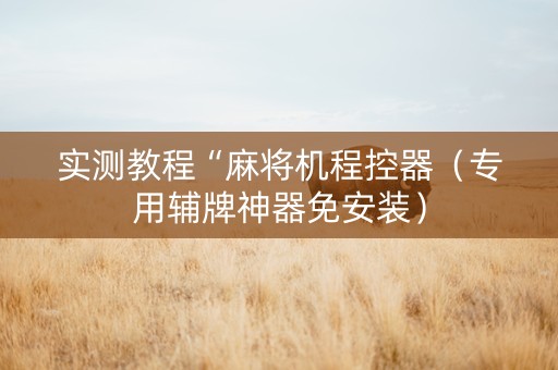 实测教程“麻将机程控器（专用辅牌神器免安装）