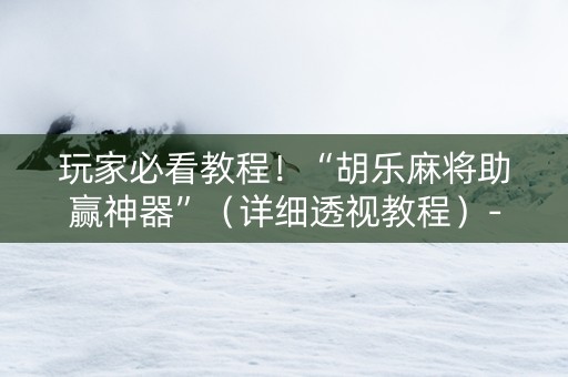玩家必看教程！“胡乐麻将助赢神器”（详细透视教程）-哔哩哔哩