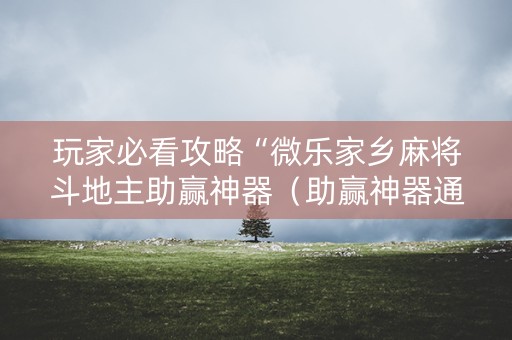 玩家必看攻略“微乐家乡麻将斗地主助赢神器（助赢神器通用版）