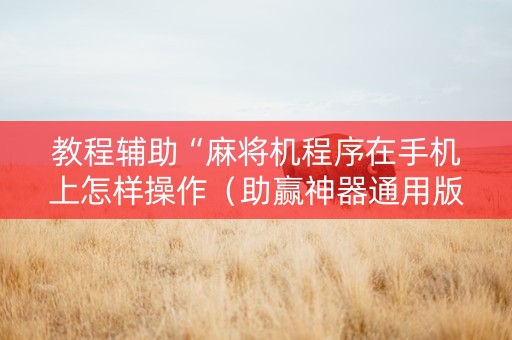 教程辅助“麻将机程序在手机上怎样操作（助赢神器通用版）