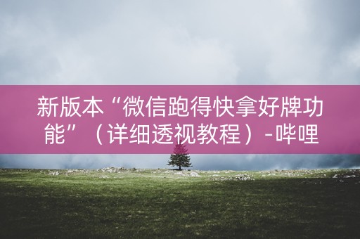 新版本“微信跑得快拿好牌功能”（详细透视教程）-哔哩哔哩