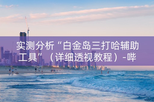 实测分析“白金岛三打哈辅助工具”（详细透视教程）-哔哩哔哩
