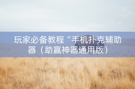 玩家必备教程“手机扑克辅助器（助赢神器通用版）