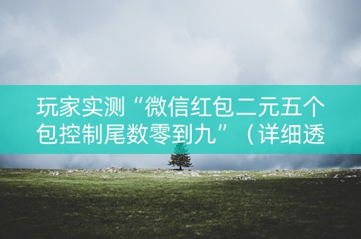 玩家实测“微信红包二元五个包控制尾数零到九”（详细透视教程）-哔哩哔哩