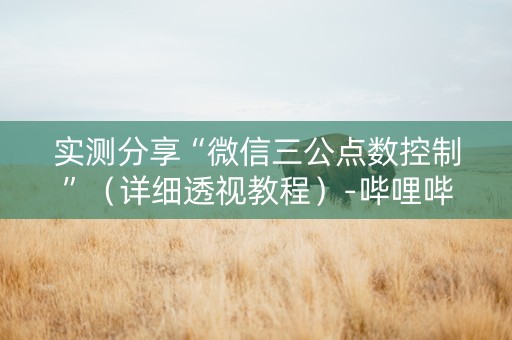 实测分享“微信三公点数控制”（详细透视教程）-哔哩哔哩
