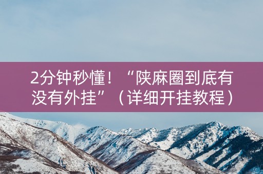 2分钟秒懂！“陕麻圈到底有没有外挂”（详细开挂教程）-哔哩哔哩