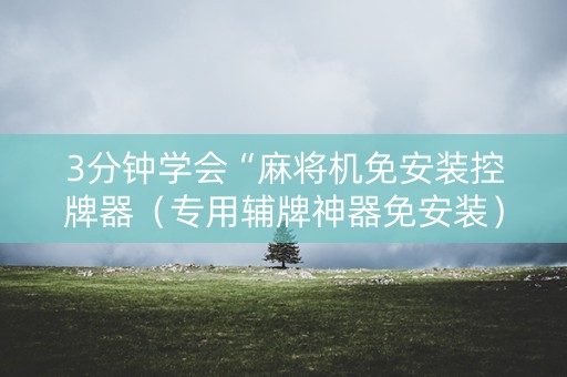 3分钟学会“麻将机免安装控牌器（专用辅牌神器免安装）