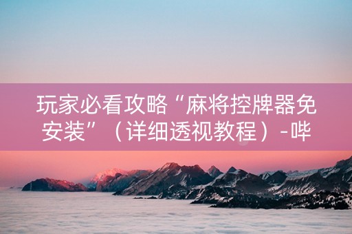 玩家必看攻略“麻将控牌器免安装”（详细透视教程）-哔哩哔哩