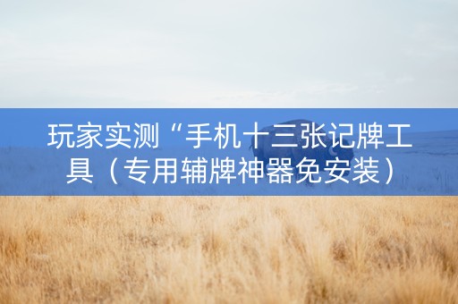 玩家实测“手机十三张记牌工具（专用辅牌神器免安装）