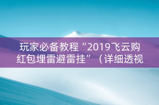 玩家必备教程“2019飞云购红包埋雷避雷挂”（详细透视教程）-哔哩哔哩
