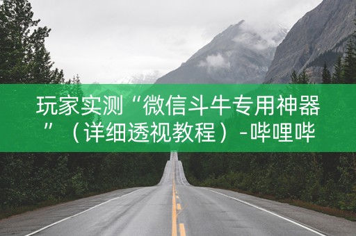 玩家实测“微信斗牛专用神器”（详细透视教程）-哔哩哔哩