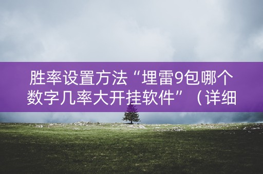 胜率设置方法“埋雷9包哪个数字几率大开挂软件”（详细透视教程）-哔哩哔哩