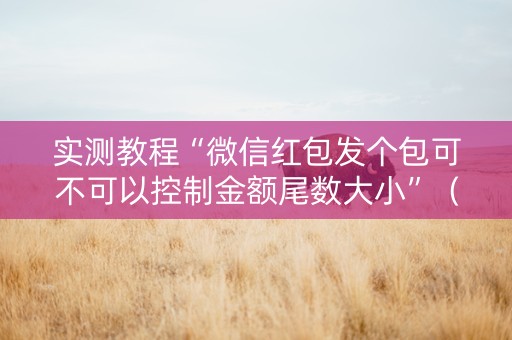 实测教程“微信红包发个包可不可以控制金额尾数大小”（详细透视教程）-哔哩哔哩