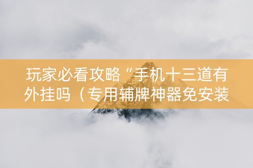 玩家必看攻略“手机十三道有外挂吗（专用辅牌神器免安装）