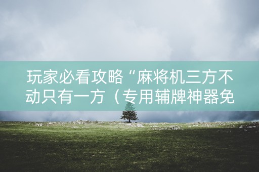 玩家必看攻略“麻将机三方不动只有一方（专用辅牌神器免安装）