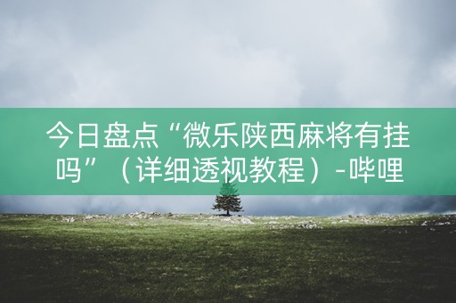 今日盘点“微乐陕西麻将有挂吗”（详细透视教程）-哔哩哔哩