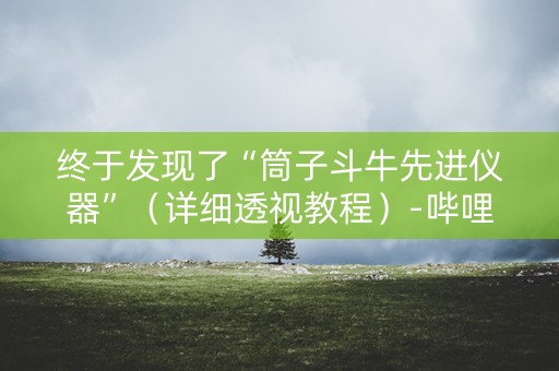 终于发现了“筒子斗牛先进仪器”（详细透视教程）-哔哩哔哩