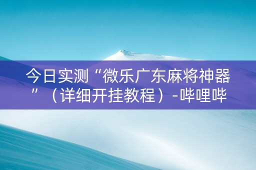 今日实测“微乐广东麻将神器”（详细开挂教程）-哔哩哔哩
