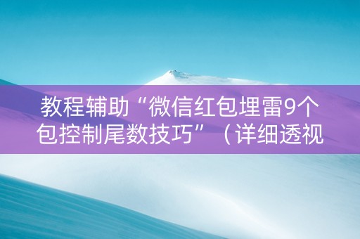 教程辅助“微信红包埋雷9个包控制尾数技巧”（详细透视教程）-哔哩哔哩