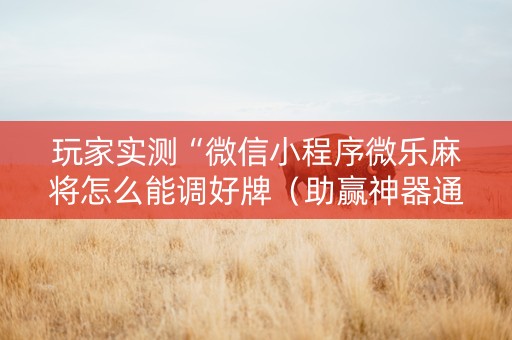 玩家实测“微信小程序微乐麻将怎么能调好牌（助赢神器通用版）