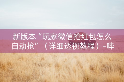 新版本“玩家微信抢红包怎么自动抢”（详细透视教程）-哔哩哔哩
