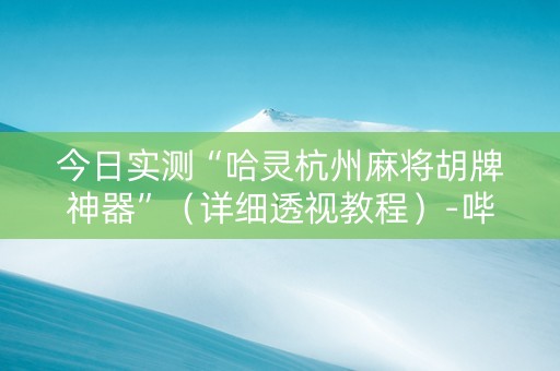 今日实测“哈灵杭州麻将胡牌神器”（详细透视教程）-哔哩哔哩