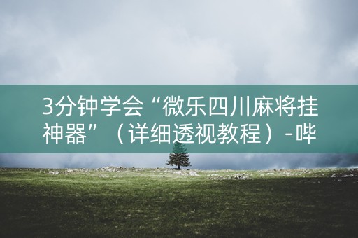 3分钟学会“微乐四川麻将挂神器”（详细透视教程）-哔哩哔哩