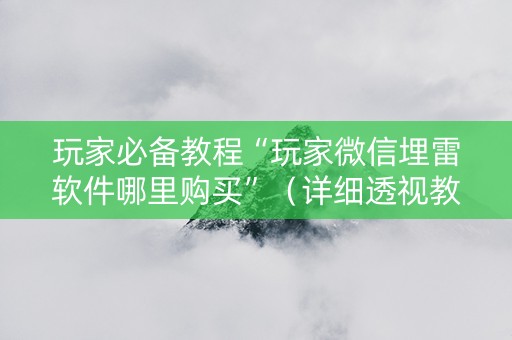 玩家必备教程“玩家微信埋雷软件哪里购买”（详细透视教程）-哔哩哔哩