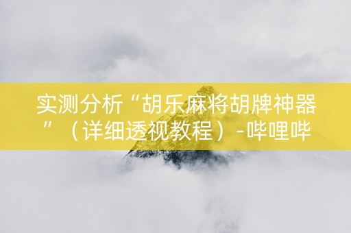 实测分析“胡乐麻将胡牌神器”（详细透视教程）-哔哩哔哩