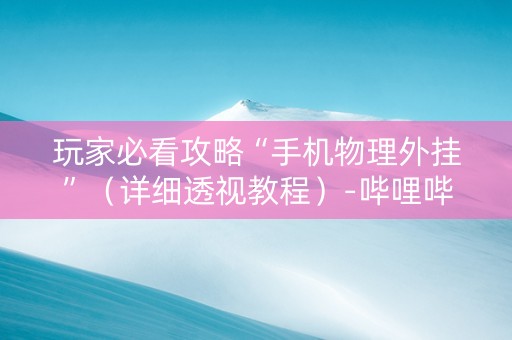 玩家必看攻略“手机物理外挂”（详细透视教程）-哔哩哔哩