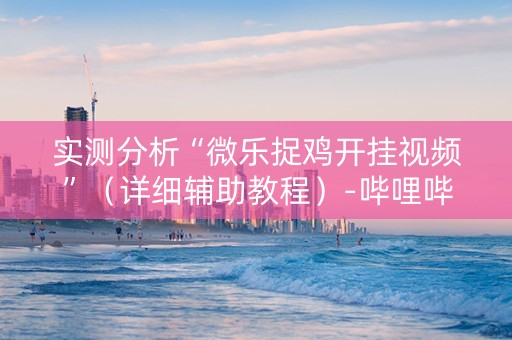 实测分析“微乐捉鸡开挂视频”（详细辅助教程）-哔哩哔哩
