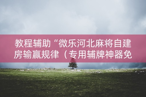 教程辅助“微乐河北麻将自建房输赢规律（专用辅牌神器免安装）