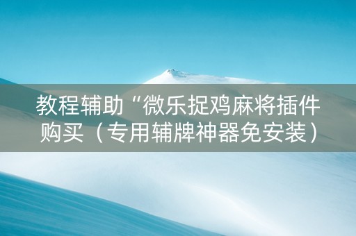 教程辅助“微乐捉鸡麻将插件购买（专用辅牌神器免安装）