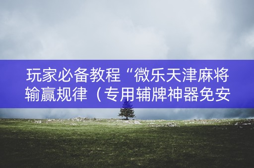 玩家必备教程“微乐天津麻将输赢规律（专用辅牌神器免安装）