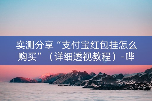 实测分享“支付宝红包挂怎么购买”（详细透视教程）-哔哩哔哩