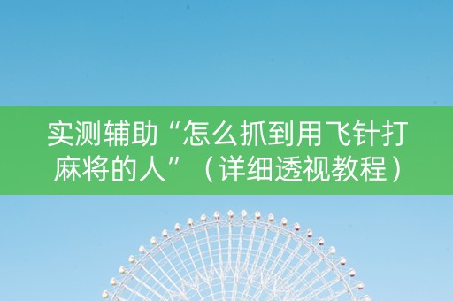 实测辅助“怎么抓到用飞针打麻将的人”（详细透视教程）-哔哩哔哩